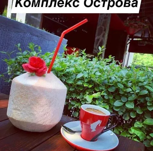 Ostrova 酒店